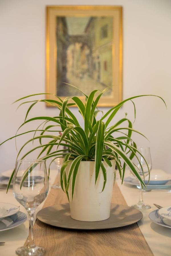 Terra Magica Deluxe Apartment Or Room With Private Parking, Terrace And Sea View Rijeka Eksteriør bilde